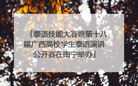 泰语技能大赛暨第十八届广西高校学生泰语演讲公开赛在南宁举办
