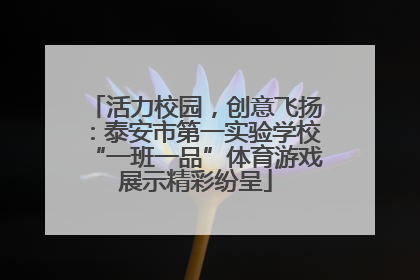 活力校园，创意飞扬：泰安市第一实验学校“一班一品”体育游戏展示精彩纷呈