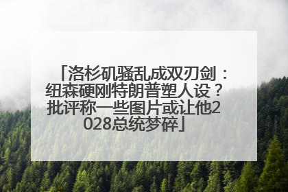 洛杉矶骚乱成双刃剑：纽森硬刚特朗普塑人设？批评称一些图片或让他2028总统梦碎