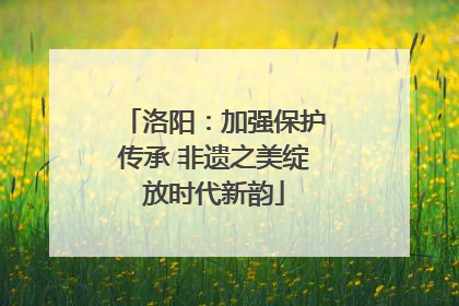 洛阳：加强保护传承 非遗之美绽放时代新韵