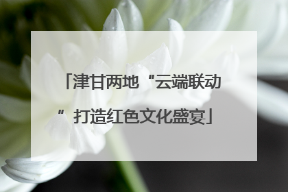 津甘两地“云端联动”打造红色文化盛宴