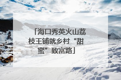 海口秀英火山荔枝王铺就乡村“甜蜜”致富路