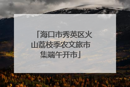 海口市秀英区火山荔枝季农文旅市集端午开市