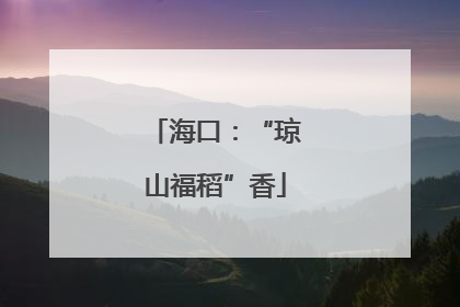 海口：“琼山福稻”香