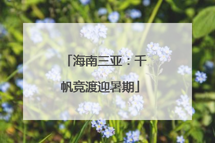 海南三亚：千帆竞渡迎暑期