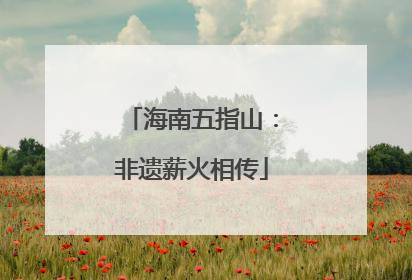 海南五指山：非遗薪火相传