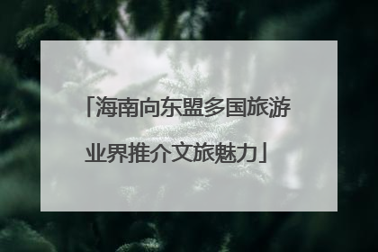 海南向东盟多国旅游业界推介文旅魅力
