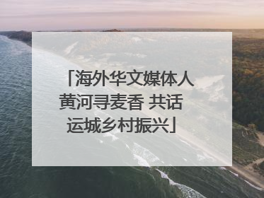 海外华文媒体人黄河寻麦香 共话运城乡村振兴