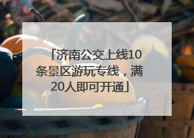 济南公交上线10条景区游玩专线，满20人即可开通