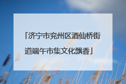 济宁市兖州区酒仙桥街道端午市集文化飘香