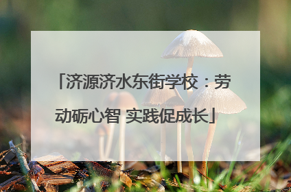 济源济水东街学校：劳动砺心智 实践促成长