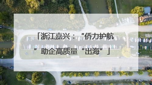 浙江嘉兴：“侨力护航”助企高质量“出海”