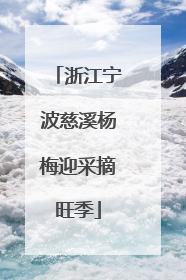 浙江宁波慈溪杨梅迎采摘旺季