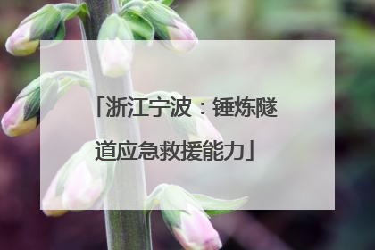 浙江宁波：锤炼隧道应急救援能力