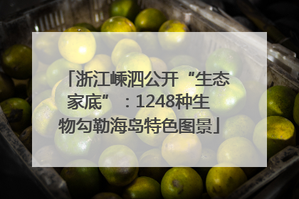 浙江嵊泗公开“生态家底”：1248种生物勾勒海岛特色图景