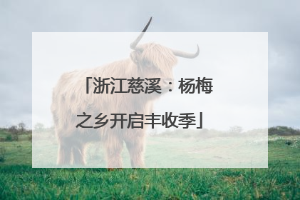 浙江慈溪：杨梅之乡开启丰收季