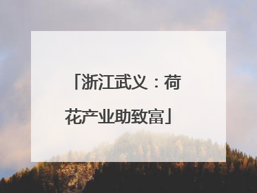 浙江武义：荷花产业助致富