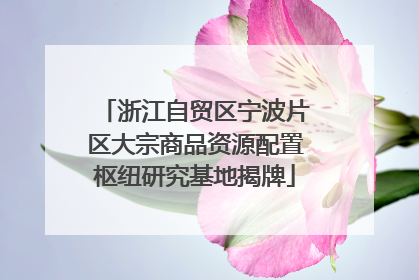 浙江自贸区宁波片区大宗商品资源配置枢纽研究基地揭牌
