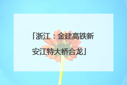 浙江：金建高铁新安江特大桥合龙