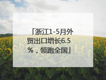 浙江1-5月外贸出口增长6.5%，领跑全国