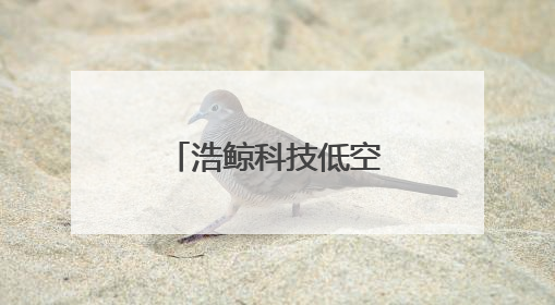 浩鲸科技低空飞行服务平台MWC上海首秀，推动产业创新