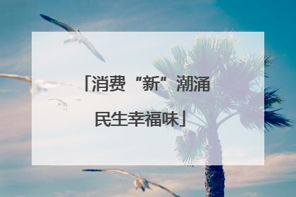 消费“新”潮涌 民生幸福味