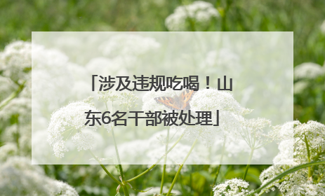 涉及违规吃喝！山东6名干部被处理