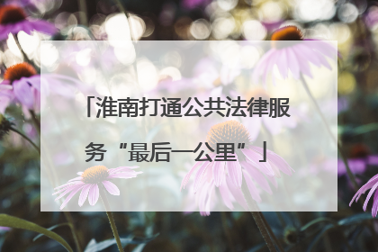 淮南打通公共法律服务“最后一公里”