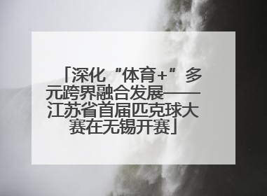 深化“体育+”多元跨界融合发展——江苏省首届匹克球大赛在无锡开赛