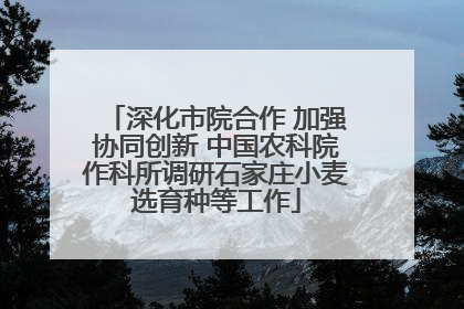 深化市院合作 加强协同创新 中国农科院作科所调研石家庄小麦选育种等工作