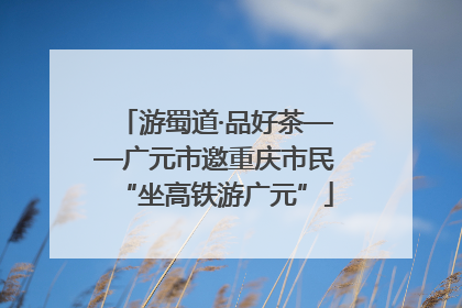 游蜀道·品好茶——广元市邀重庆市民“坐高铁游广元”