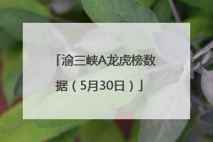 渝三峡A龙虎榜数据（5月30日）