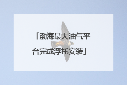 渤海最大油气平台完成浮托安装