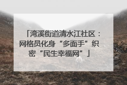 湾溪街道清水江社区：网格员化身“多面手”织密“民生幸福网”