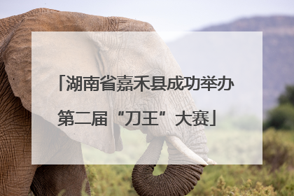 湖南省嘉禾县成功举办第二届“刀王”大赛