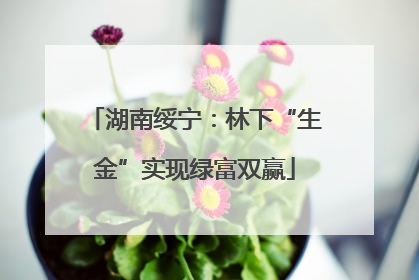 湖南绥宁：林下“生金”实现绿富双赢