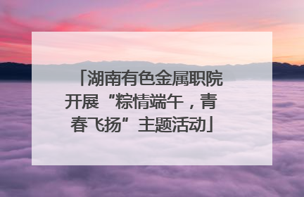 湖南有色金属职院开展“粽情端午，青春飞扬”主题活动