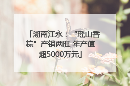 湖南江永：“瑶山香粽”产销两旺 年产值超5000万元