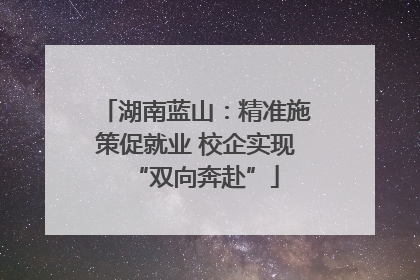 湖南蓝山：精准施策促就业 校企实现“双向奔赴”