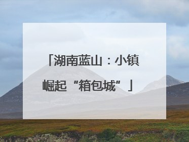 湖南蓝山：小镇崛起“箱包城”