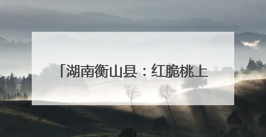 湖南衡山县：红脆桃上市 电商助力拓销路