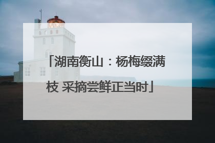 湖南衡山：杨梅缀满枝 采摘尝鲜正当时