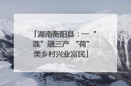 湖南衡阳县：一“莲”融三产 “荷”美乡村兴业富民