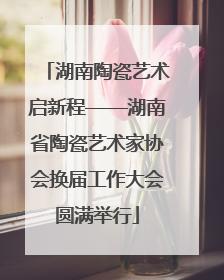 湖南陶瓷艺术启新程——湖南省陶瓷艺术家协会换届工作大会圆满举行