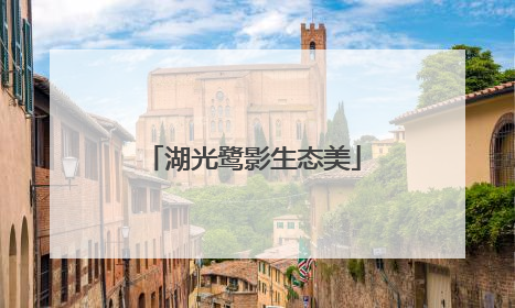 湖光鹭影生态美