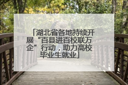 湖北省各地持续开展“百县进百校联万企”行动，助力高校毕业生就业