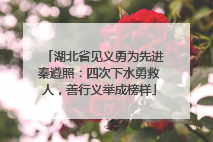 湖北省见义勇为先进秦遵照：四次下水勇救人，善行义举成榜样