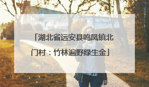 湖北省远安县鸣凤镇北门村：竹林遍野绿生金
