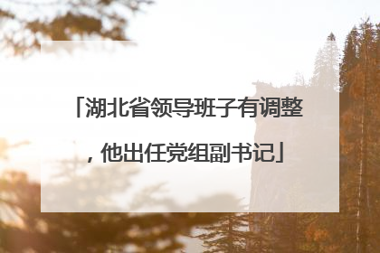 湖北省领导班子有调整，他出任党组副书记