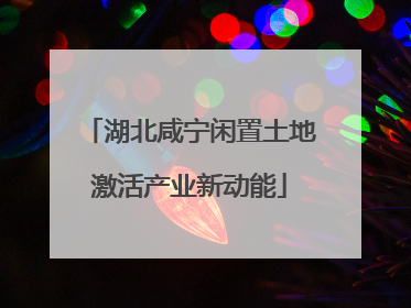 湖北咸宁闲置土地激活产业新动能